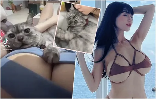 「童顏巨乳」辣模被肉掌偷襲 「兇手」下秒厭世臉!老司機秒懂衝擊:懷疑貓生了