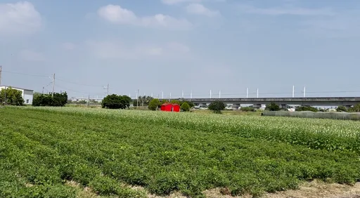 500坪土地成交前突縮手！　高資產族「選前沒信心」寧抱黃金美金