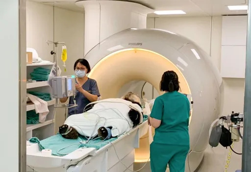 再見團團|最痛一夜曝!連3度癲癇持續6小時才緩 打鎮定後再沒醒來