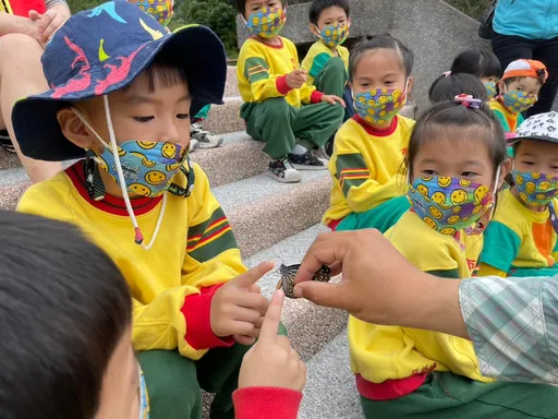 花蓮市托幼兒戶外探索趣 與蝴蝶首次親密接觸!小娃直呼「好癢」