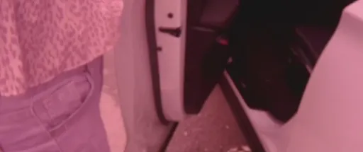 265萬BMW不見了好心急 警搜山查出真相