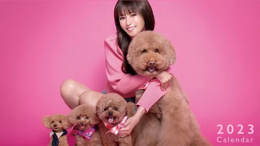 深田恭子40歲粉紅小腰精 婚事延宕抱狗取暖