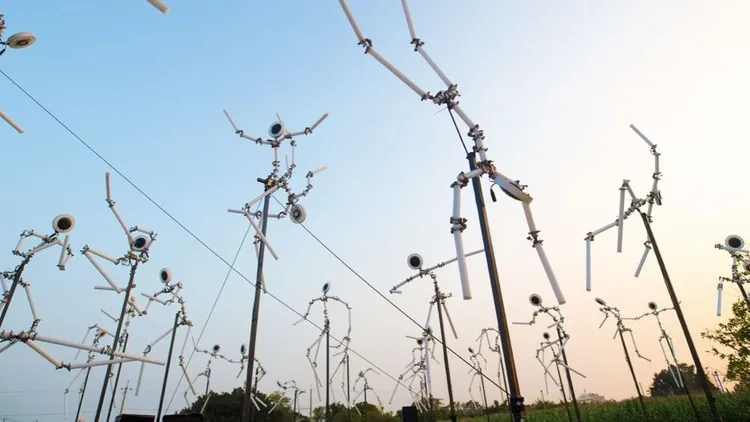 台東光祭作品。資料畫面