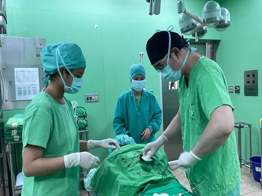 一串蕉掉落害蕉農肝臟破裂 滿肚血驚見10公分惡性腫瘤也破了