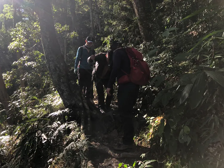 搜救人員陪同傷者護送下山。民眾提供