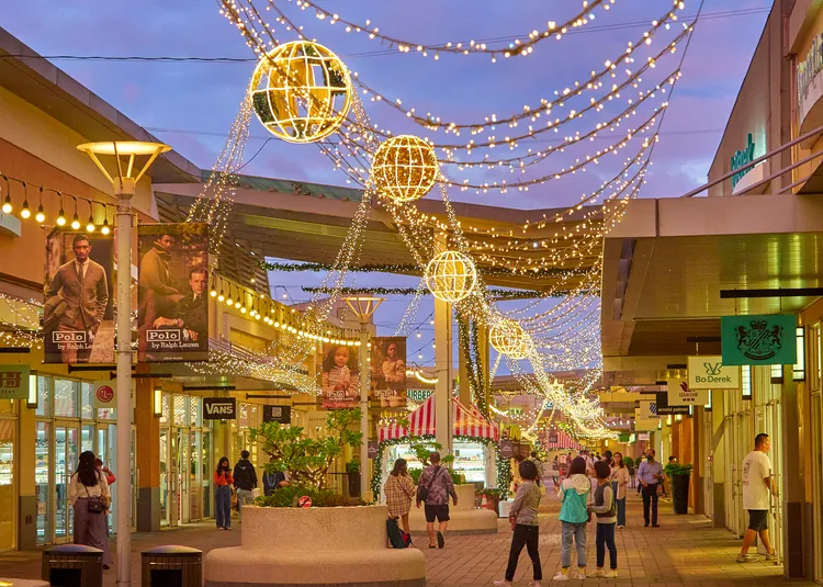 數十萬盞燈飾串接成的光之廊道。業者提供