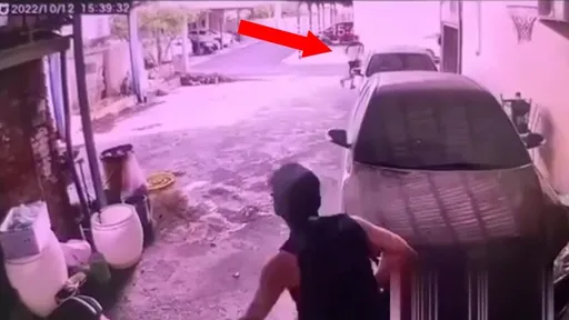 「1個月包辦5起」全鄉13村偷到警察都認識　麥寮慣竊送辦