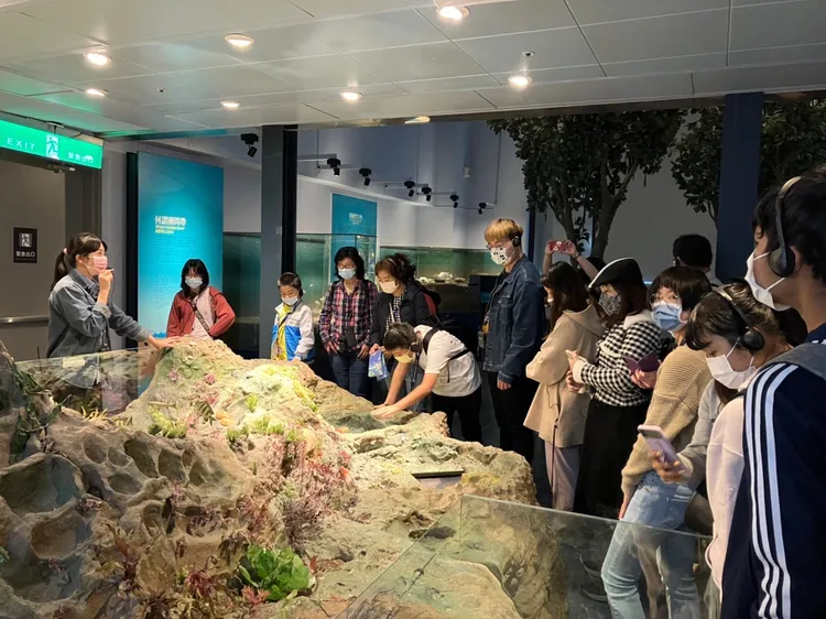 移民署「海底新視界」活動導覽介紹潮間帶生態環境。翻攝畫面