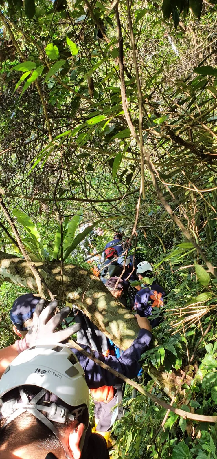 搜救人員穿越重重樹林、草叢並克服困難地形趕往意外發生地點。仁愛消防分隊提供