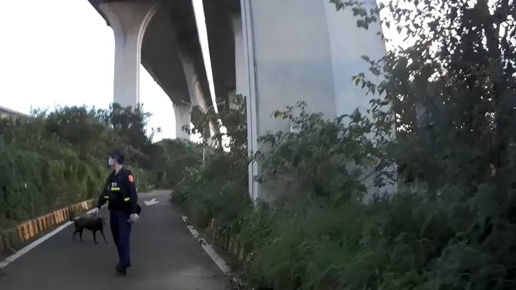 小黑狗引導警員尋獲老翁。桃園警分局提供
