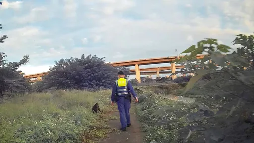 桃園男離家外出散步失聯 「靈犬」助警尋獲迷途翁