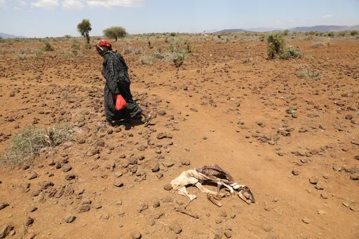 補償受氣候變遷影響窮國 歐盟建議中國共同出資
