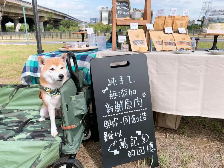 今年有精彩舞台表演、5項趣味競賽及30多攤毛孩週邊市集。新竹市政府提供