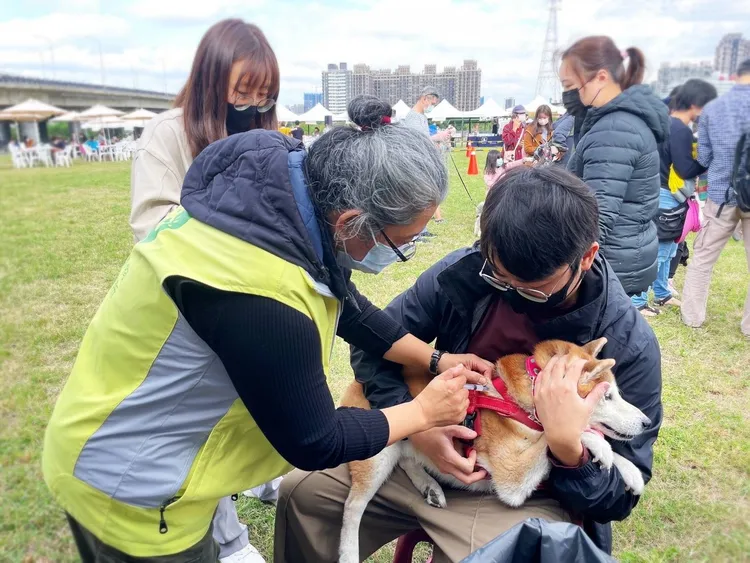 現場也設立免費寵物健檢、狂犬病疫苗及晶片注射攤位。新竹市政府提供