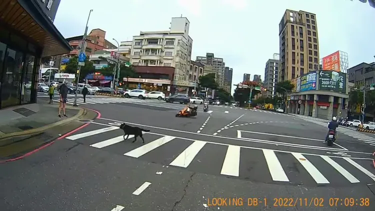 騎士機車失控倒地。翻攝自臉書社團「林口大家庭LinKou-Family」