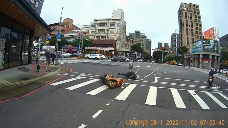 騎士倒地滑行約10公尺，黑狗(紅圈處)見狀逃離。翻攝自臉書社團「林口大家庭LinKou-Family」