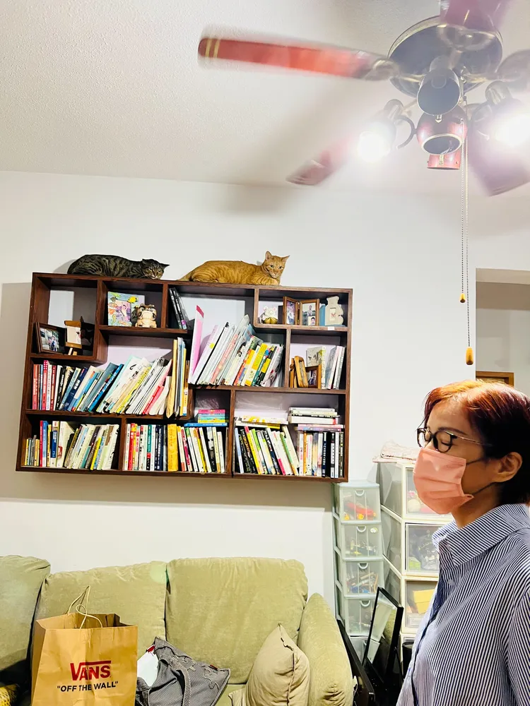 百福里長林燕玲愛貓，臥室騰出來當貓房，分享愛給流浪貓。動保處提供