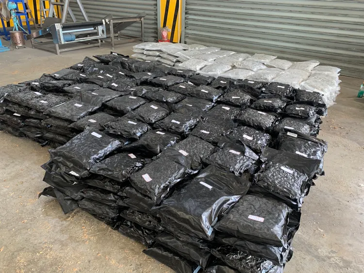 檢警查獲456公斤大麻花。新北地檢署提供