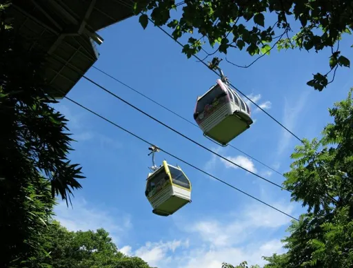 別白跑一趟!貓纜「這時間」將年度檢修14天 12/11恢復營運