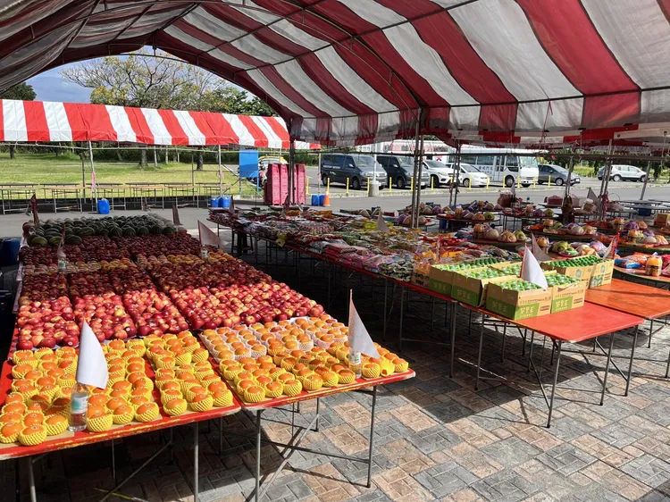 法會所剩下的供品末後捐贈予在地社福團體。台東縣府提供