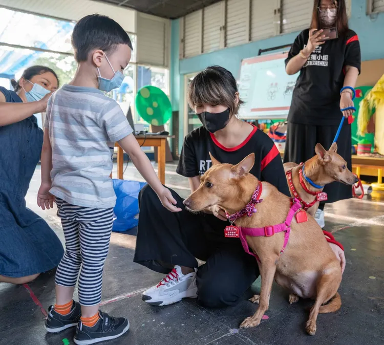 志工告訴小朋友，無論是否喜歡貓狗，都要友善對待動物、學習如何與貓狗相處。台灣動物緊急救援小組提供
