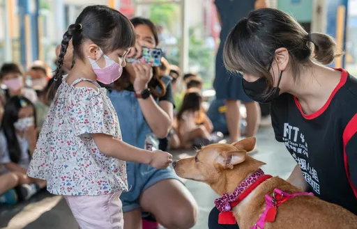 遭棄山區險死母女犬當助教 動團幼園講故事「生命教育不能等」