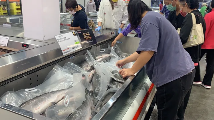 大西洋鮭魚，原價599/KG，特價499/KG，每公斤省100元。吳慧芬攝