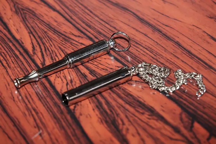 「哨子」為動物園進行動物訓練時的法寶。葉志明攝