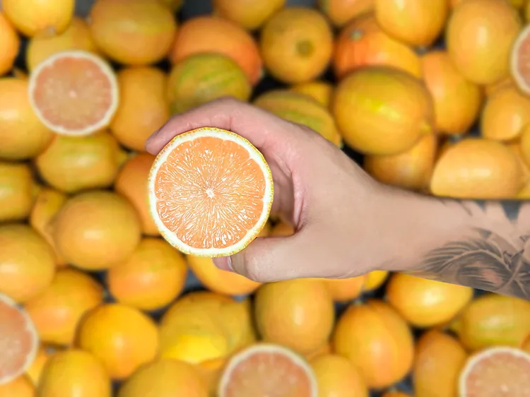 台南遠東香格里拉此次甜點選用全球產量僅佔4%「粉紅檸檬」目前僅有一家台灣嘉義小農種植，外型及口感都相當特別。業者提供