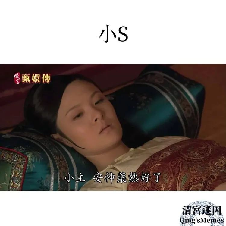 小S的心情恐怕難熬啊。翻攝「清宮迷因」臉書