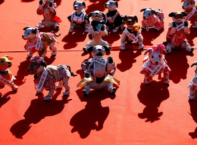 30隻AIBO在東京神田神社歡慶七五三節。路透社