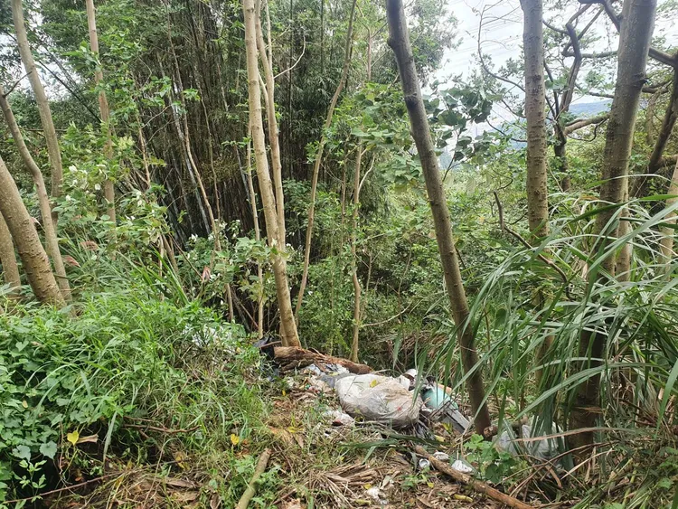 警方循線在山區找到嫌犯埋屍地點。翻攝畫面