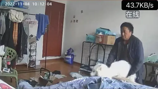 包租公潛屋「性侵房客寵物狗」　畫面曝光！網友傻眼：刷新人類下限