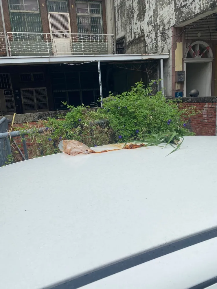 疑似廚餘穢物，臭氣熏天。車主提供