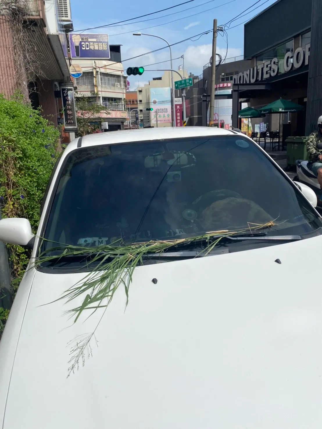 挡风玻璃上不时会出现杂草、杂物。车主提供