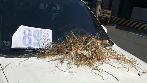 車停家門一直冒出雜草、水管跟廚餘　大媽逼退出賤招被告了