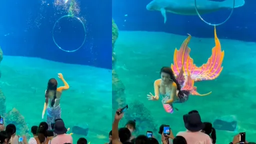 美人魚現蹤！送上飛吻後一躍而上　人手一機狂攝