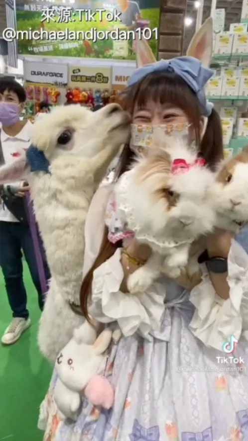 小姐姐   來～讓小阿哥親一個，請別逃避我對妳滿滿的愛。TikTok@michaelandjordan101 提供