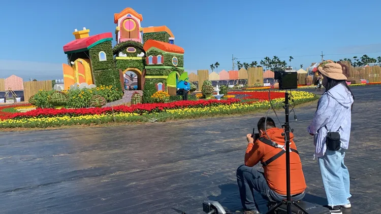 攝影師搶先到新社花毯節現場卡位搶拍。曾雪蒨攝