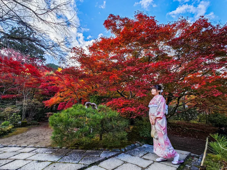 常寂光寺的楓況已進入最佳觀賞期。田欣雲攝