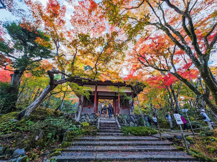 寺中最古老的建築「仁王門」。田欣雲攝