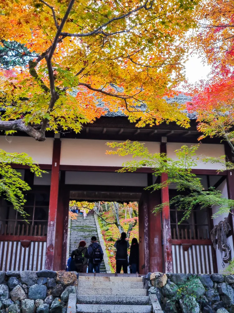 仁王門是1616年從原來本圀寺客殿南門所搬遷過來。田欣雲攝