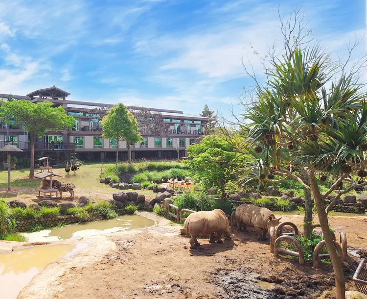 關西六福莊也特別推出雙11限定「2022六福線上旅展」住房專案，並於11月11日（五）11：11準時開賣。六福村提供