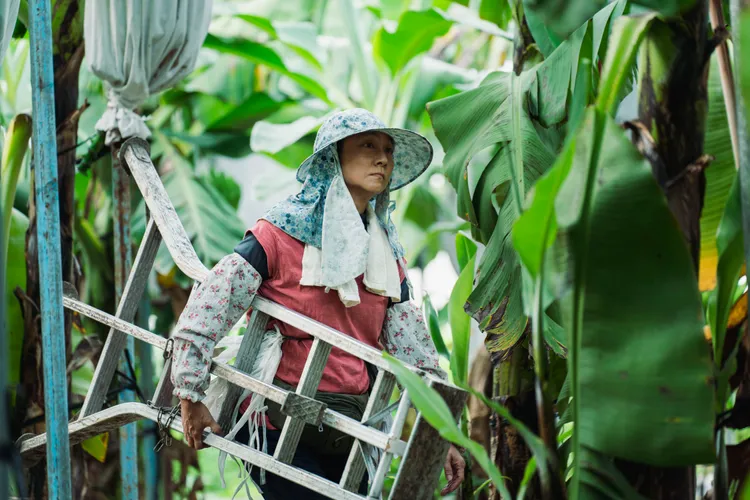 楊麗音在《一家子兒咕咕叫》角逐金馬獎最佳女配角獎。劇組提供