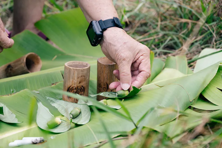 香蕉植株遍佈噶瑪蘭族的日常生活。文總提供
