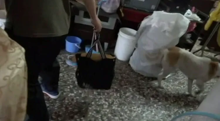 員警進入屋內搜索，3隻土狗跟進屋內狂吠不止。讀者提供