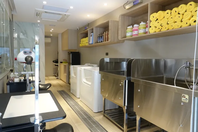 寵物美容室。張哲鳴攝