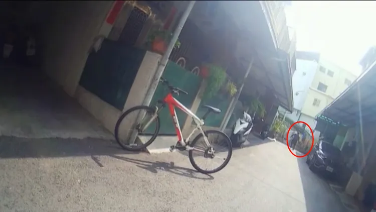 郭男身手矯健輕鬆翻過圍牆，張男身形一頓翻不過去。讀者提供