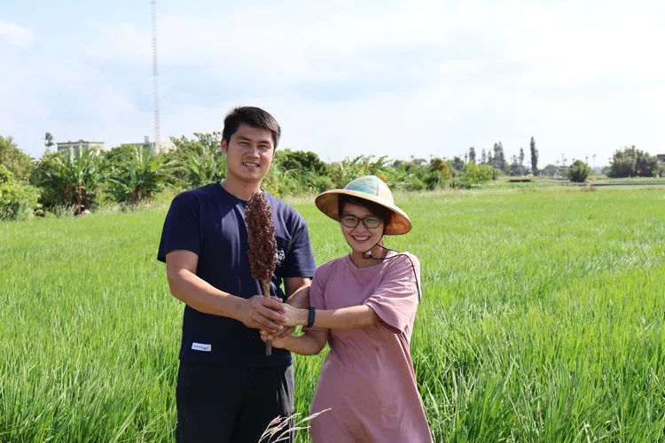 劉政育現已成為北台灣最大佃農，耕種面積超過120公頃，他也與妻子自創「大口吃米」品牌，要讓更多人吃到無毒友善的香Q米。黃羿馨攝