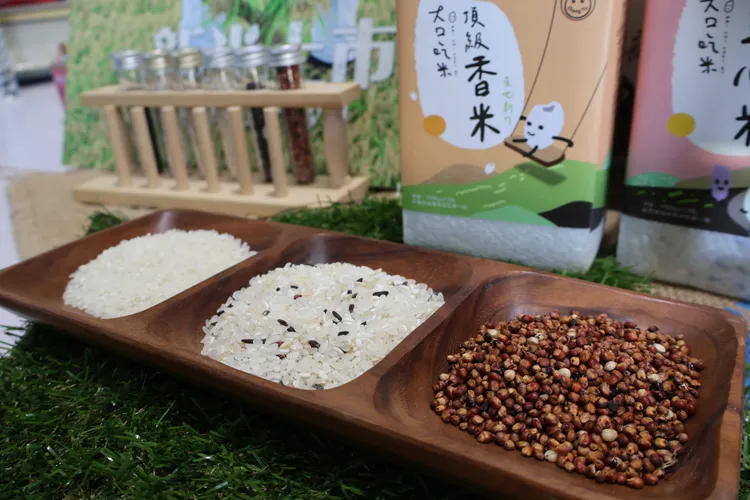 劉政育也種植各種雜糧包括飼料玉米、黑豆、大豆、高粱，黑豆除了在各大農會販售外，也加入新竹縣國中小學營養午餐菜單。黃羿馨攝